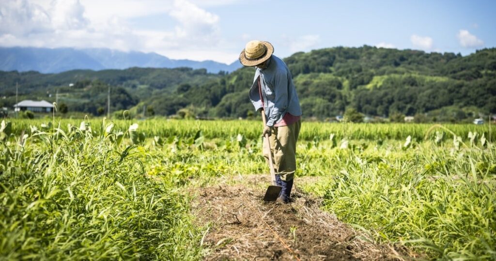 もはや「農家の組織」とはいえない!?…JAが「国民の12人に1人が組合員」の巨大組織に発展できた「からくり」― 非農家が多数派