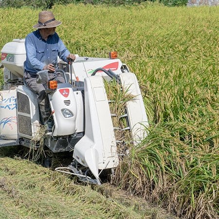 正気か石破政権！農家に罰金を要求する「食料供給困難事態対策法」でコメがますます消えていく ― コメ消えた昨夏、政府は国産米の輸出を促進していた