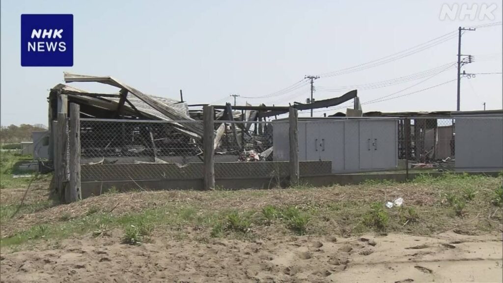 犬の飼育施設が火事で全焼 数十匹が死んだか 新潟