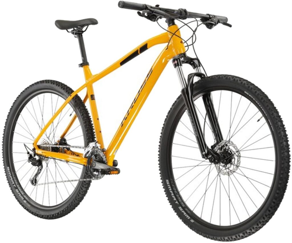 自転車を選ぶのを手伝ってもらえますか？