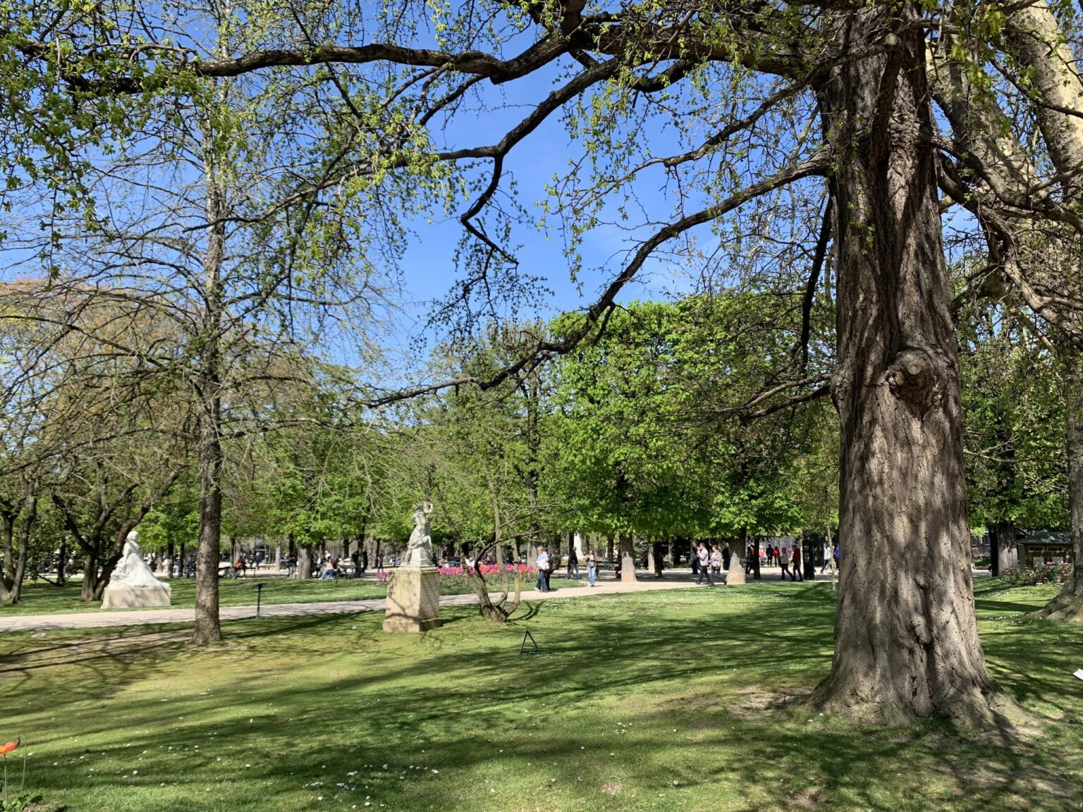 街の“緑化”を進めるパリ市｜EXPAT by クーリエ・ジャポン