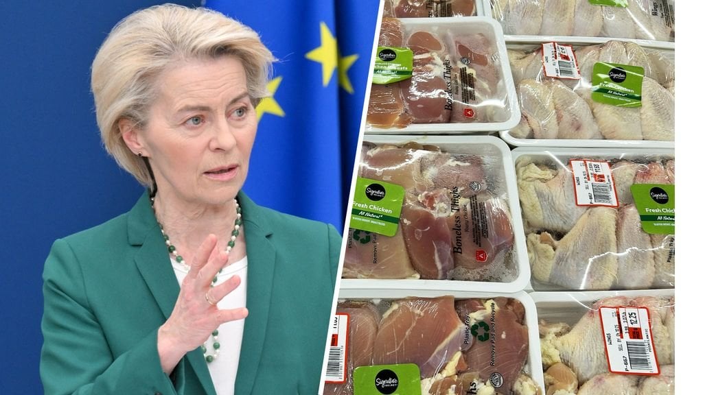 肉、化粧品、プラスチック：EUは私たちと一緒に税金で打撃を与えます