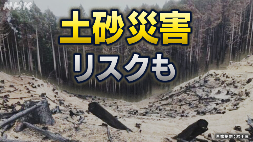 大船渡 山林火災現場 大雨で土石流発生リスク“早急な対策を” - nhk.or.jp