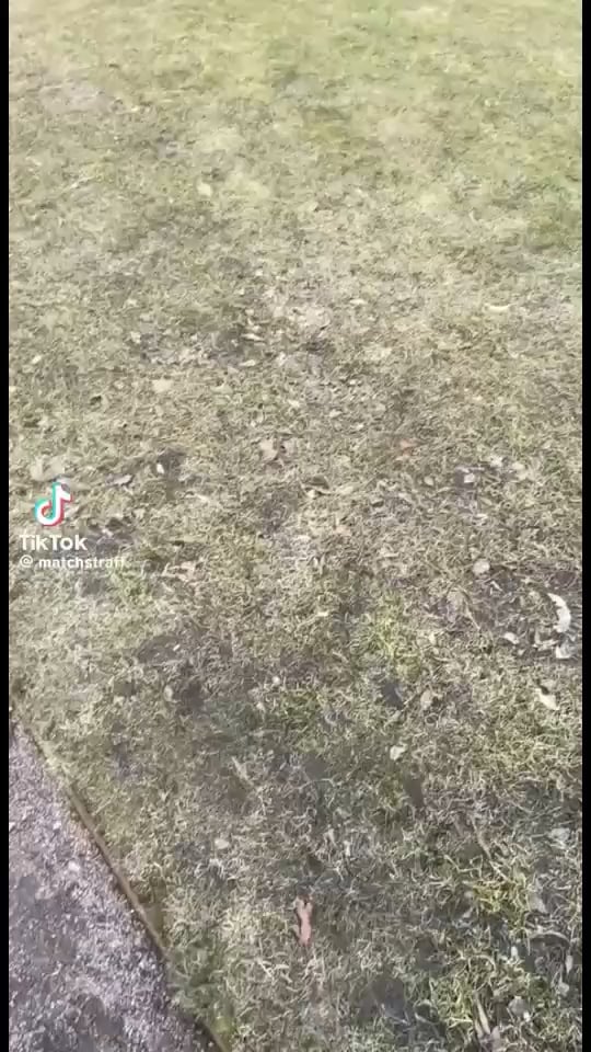 イースター、おめでとう！