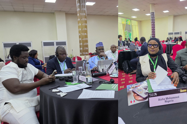 Africa’s Asset Recovery Forum seeks action against stolen assets