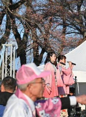 １５年ぶりの「さくら祭り」　福島県浪江町の請戸川沿い