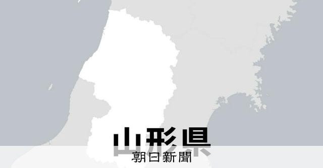 クマ目撃が急増「過去に例のないペース」 頭かまれる被害も…注意を 山形県