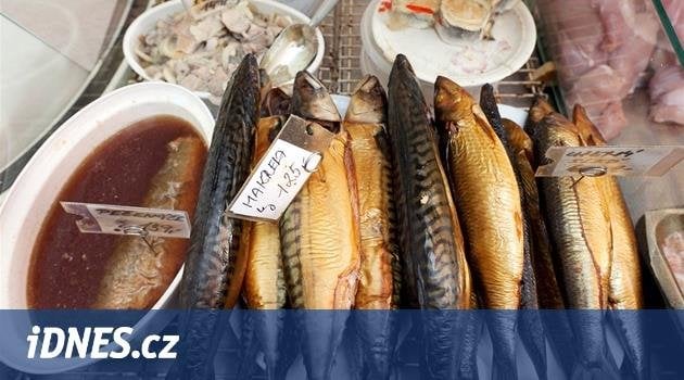 サバは危険にさらされています。その人口は、大西洋での過度の漁業を最も壊滅させます