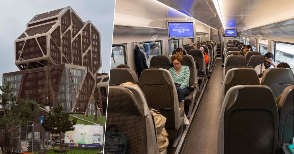 「まるで彼が牛市場で動物を検査しようとしているかのように」：彼が電車でペルトから少女（14）に触れた後に有罪判決を受けた亡命希望者