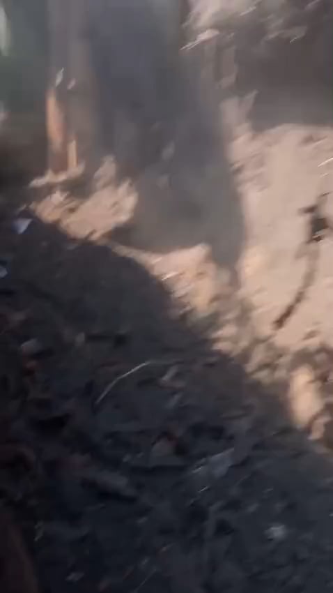 怒りのtrench：コロンビアの兵士は正義をもたらします
