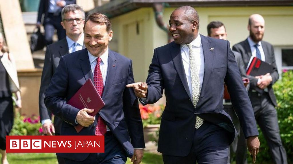 【イギリス政権交代】 ラミー外相が初の外国訪問　英・EU関係を「リセットする」 - BBCニュース