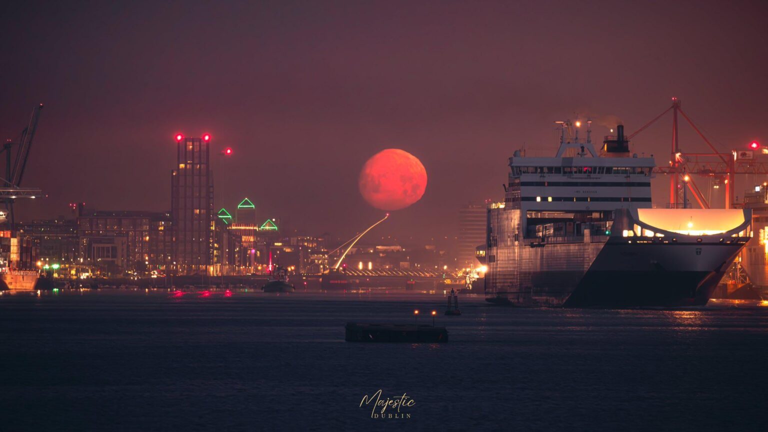 今日のこの浮きを見た。なんて素晴らしい写真でしょう。