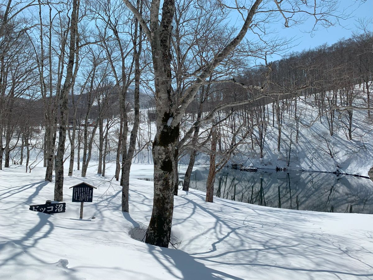 「ぼくのたいき君」 その6・蔵王のたいき君～の巻