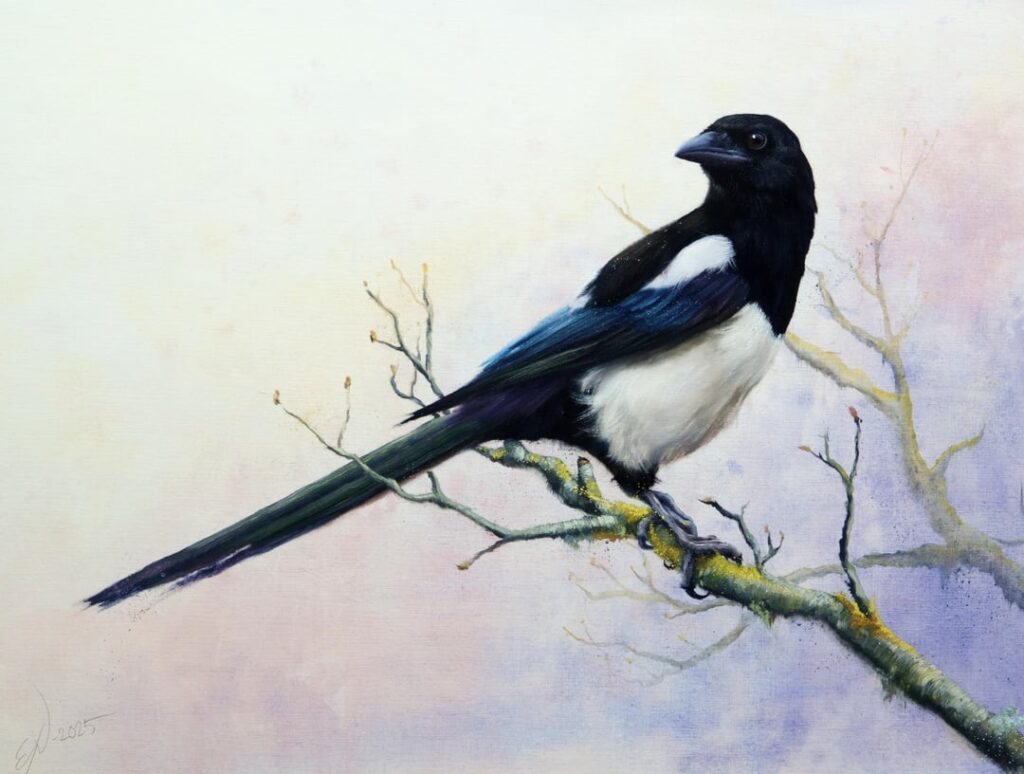 金曜日の絵画、スカタンは最も好きな鳥ではないかもしれませんが、羽毛には素敵な色があると思います。皆さんに本当に素敵な週末を願っています！