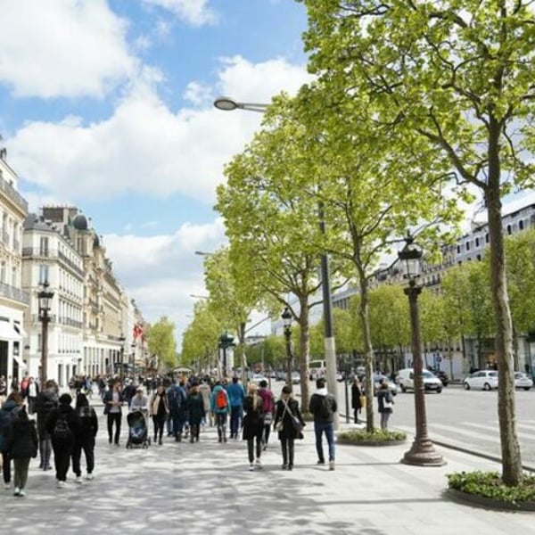 2024年、欧州の小売業賃料は上昇、レジャー部門が需要を牽引 - FashionNetwork 日本