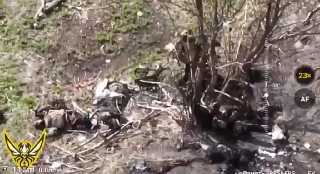 NSFW：死の木。第3特別目的連隊のドローンオペレーターに連れて行かれたロシアの兵士。 Pokrovsk方向。 2025年4月