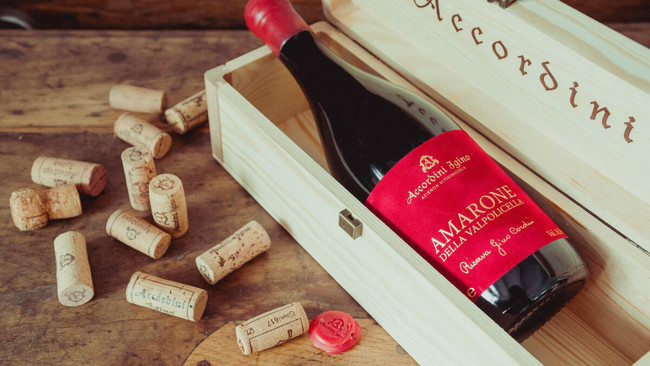 在日イタリア商工会議所主催 Made in Italy ワイン試飲会開催 ～DISCOVERY GALLERY 土着品種を発掘しましょう！～