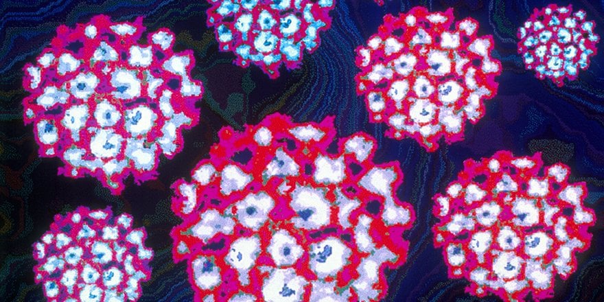 HPVに対するワクチンが本当に必要ですか？