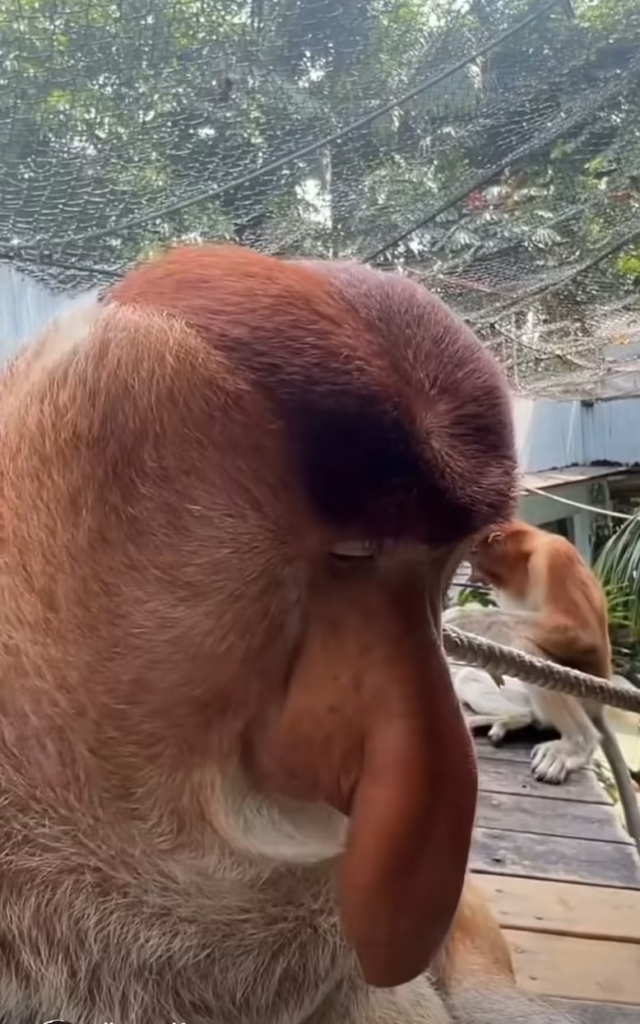 誰が私にそれを思い出させます