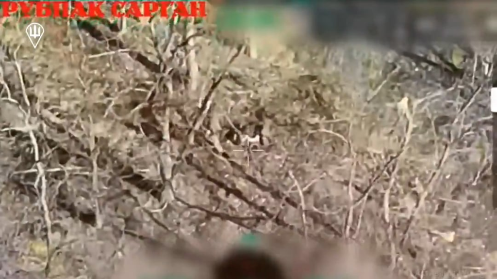 彼の同志を打ち負かしたロシアの兵士は、ウクライナのFPVドローンストライキが登場するのを見ませんでした。 2025年4月29日にウクライナの空tro部隊が発行