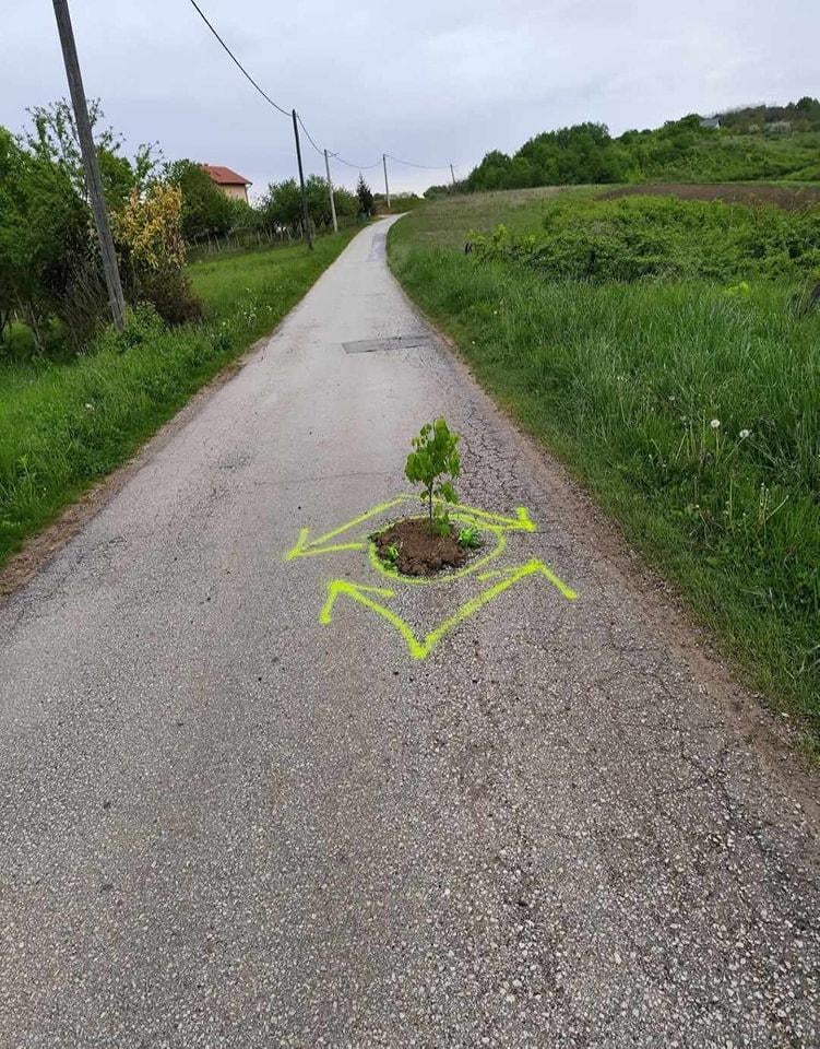 穴が道路の深さになった後、ラズ・ビストリカの誰かが道路に木を植え、スプレーをラベル付けしました。