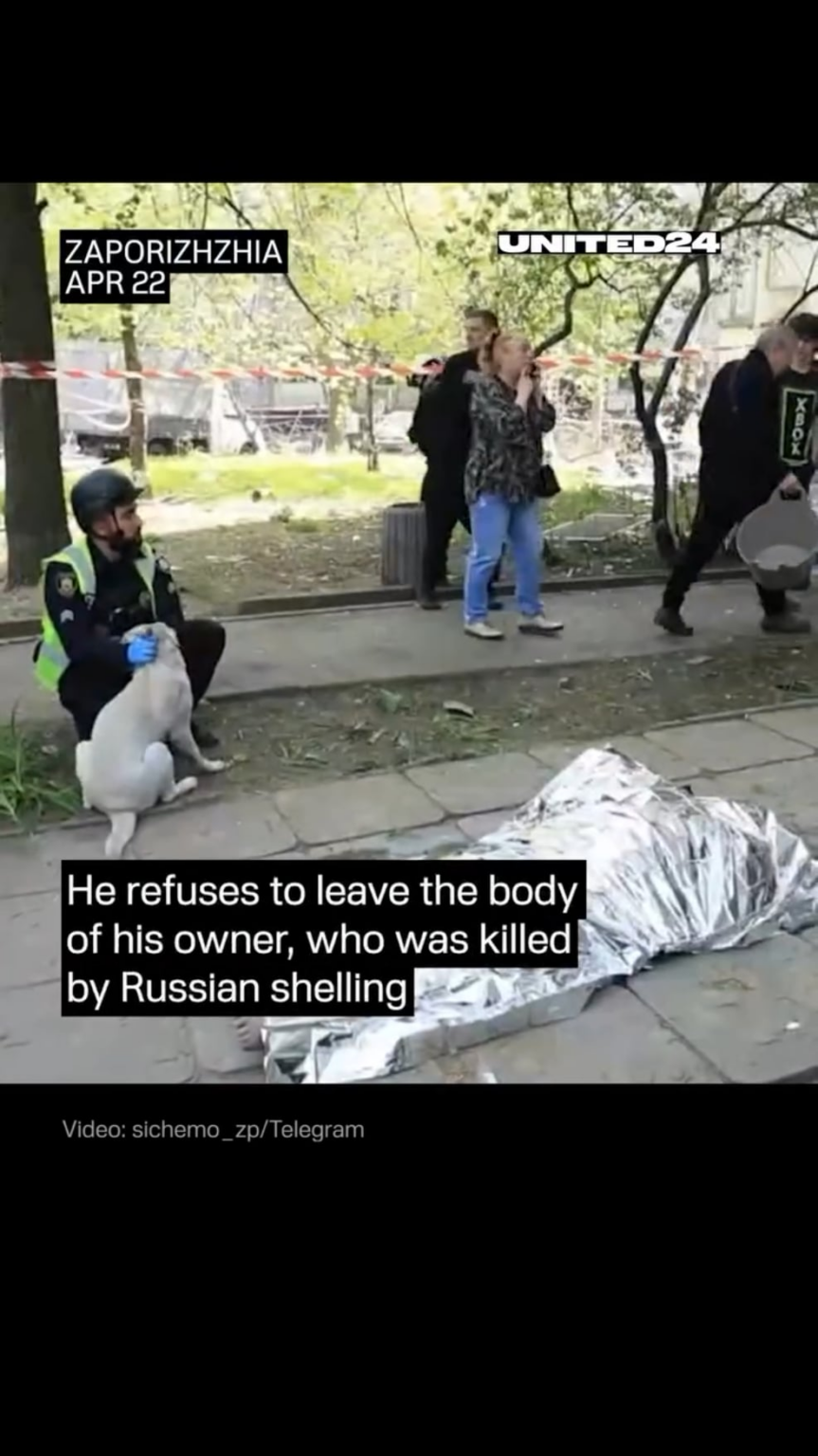 犬はロシアに殺された所有者の体を離れることを拒否します