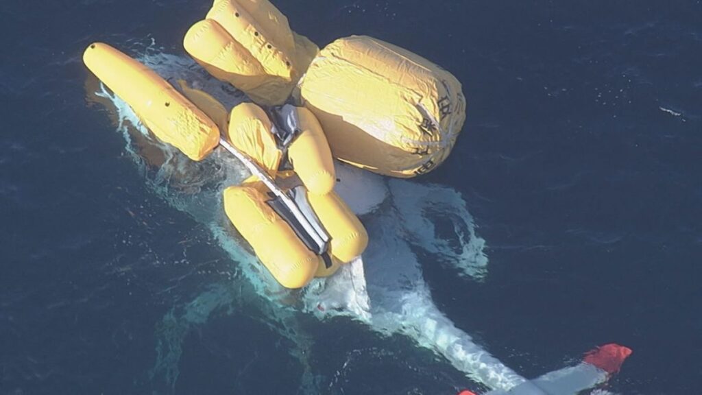 共有