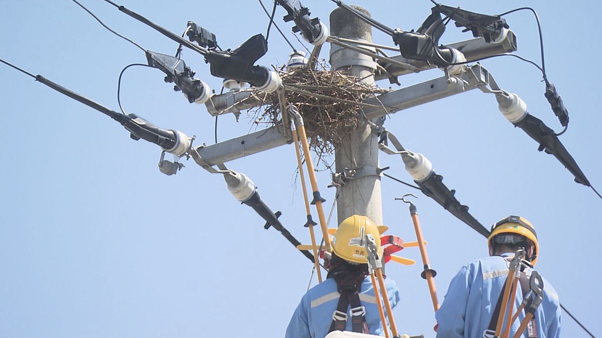 去年は山形県内で停電が21件発生　原因はカラスの巣　3月から7月の繁殖期に多く