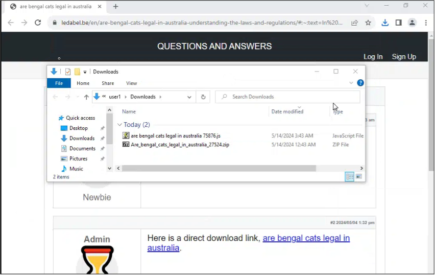 Figure 6:  Sandboxed browser (Browserling) results when accessing the website and clicking on the malicious hyperlinked URL 