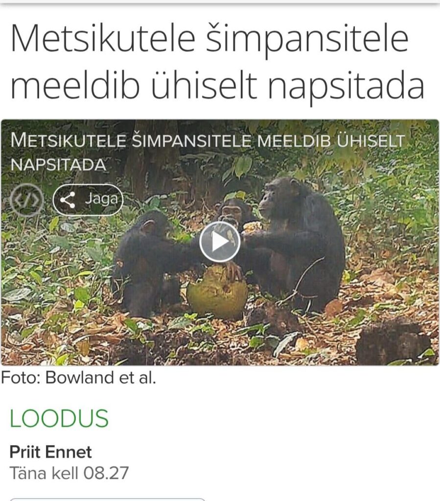 新しいエストニア国民動物？
