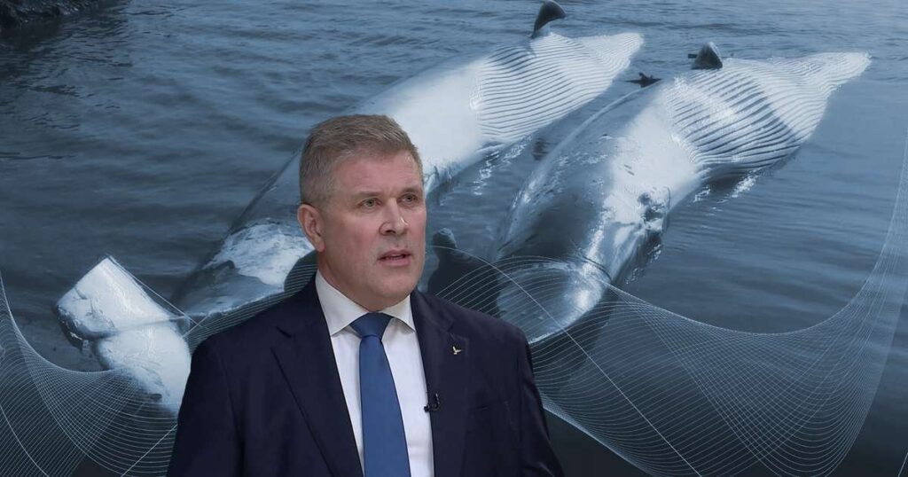Bjarniは自分自身がHvalの適用を処理することに無能だと考えていましたが、意見を交換しました-Rúv.is