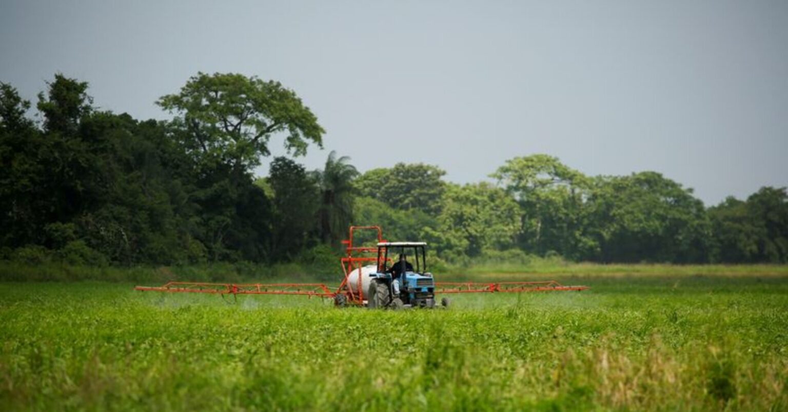 France: Un décret reconnaît les cancers de la prostate liés aux pesticides comme maladie professionnelle