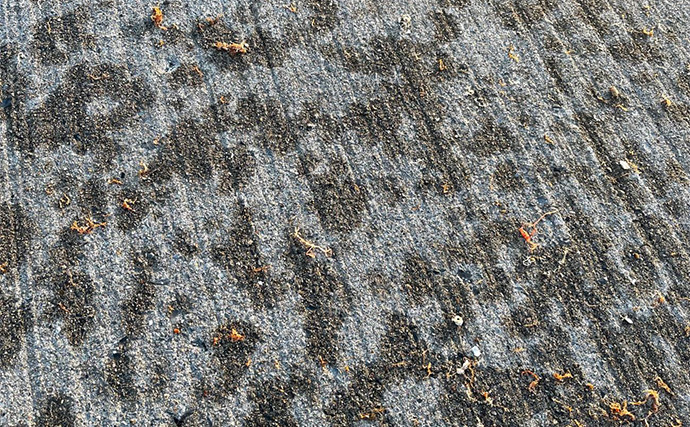 噴火湾でアイナメ狙いのロックフィッシュゲーム【北海道】釣果ゼロでも癒しの温泉旅に満足