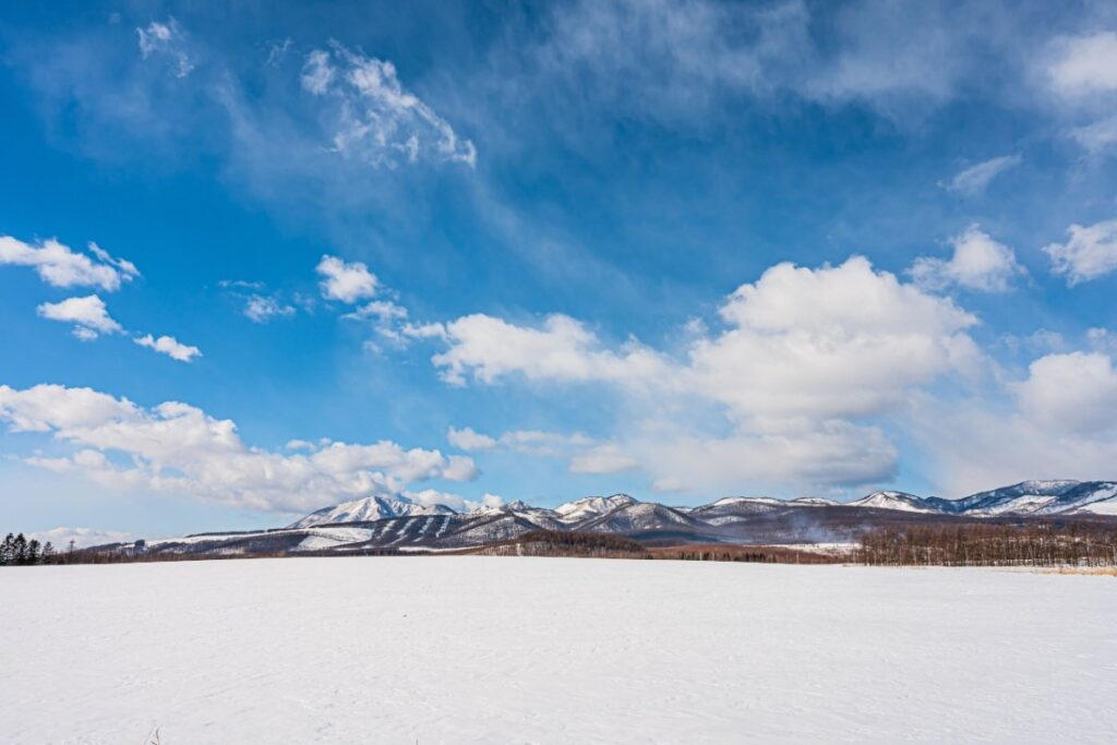 北海道で撮影された1羽のシマエナガ　普段はあまり見られない「物憂げな表情」に驚きの声 | LIMO | くらしとお金の経済メディア