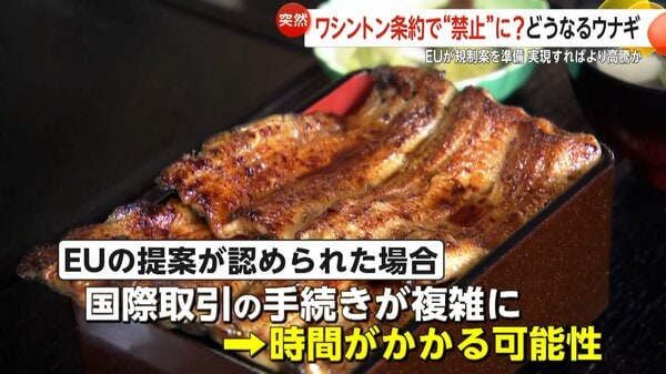 【鰻がピンチ？】「廃業も出てくるんじゃないか」EUがワシントン条約で“ウナギ全種類”の国際取引規制案準備 日本は約7割が輸入依存で価格高騰の可能性も｜FNNプライムオンライン - FNNプライムオンライン
