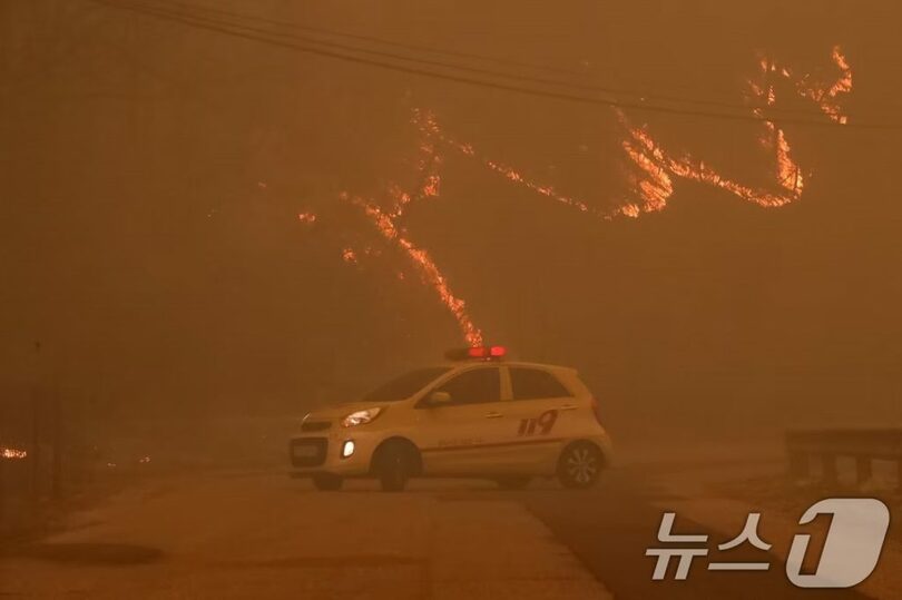 3月25日、慶尚北道の山火事現場(c)news1