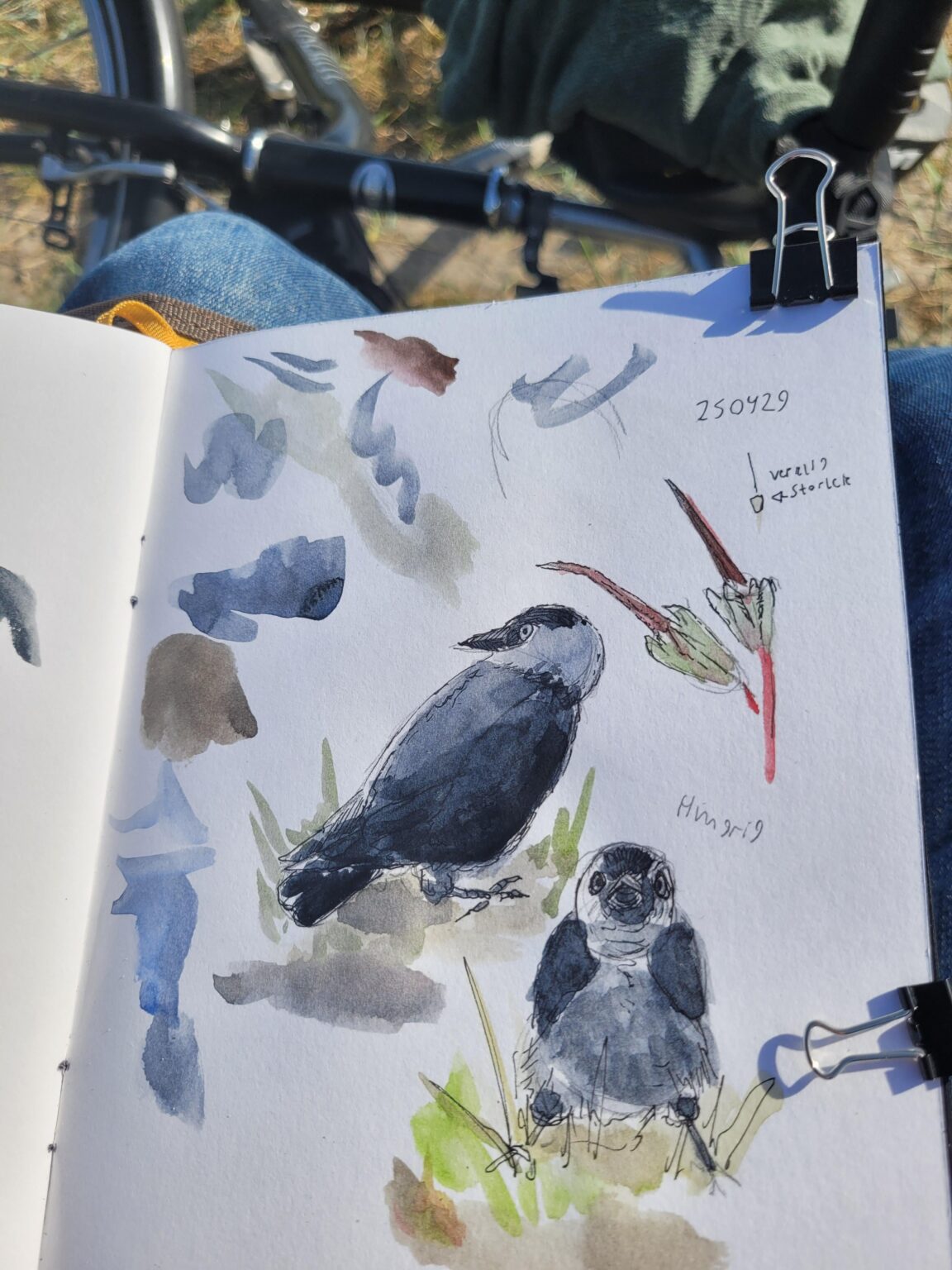 Ribersborg BeachMalmöでいくつかの岸壁を描いた。彼らはモデリングの補償としてアイスクリームストラットを受け取りました。