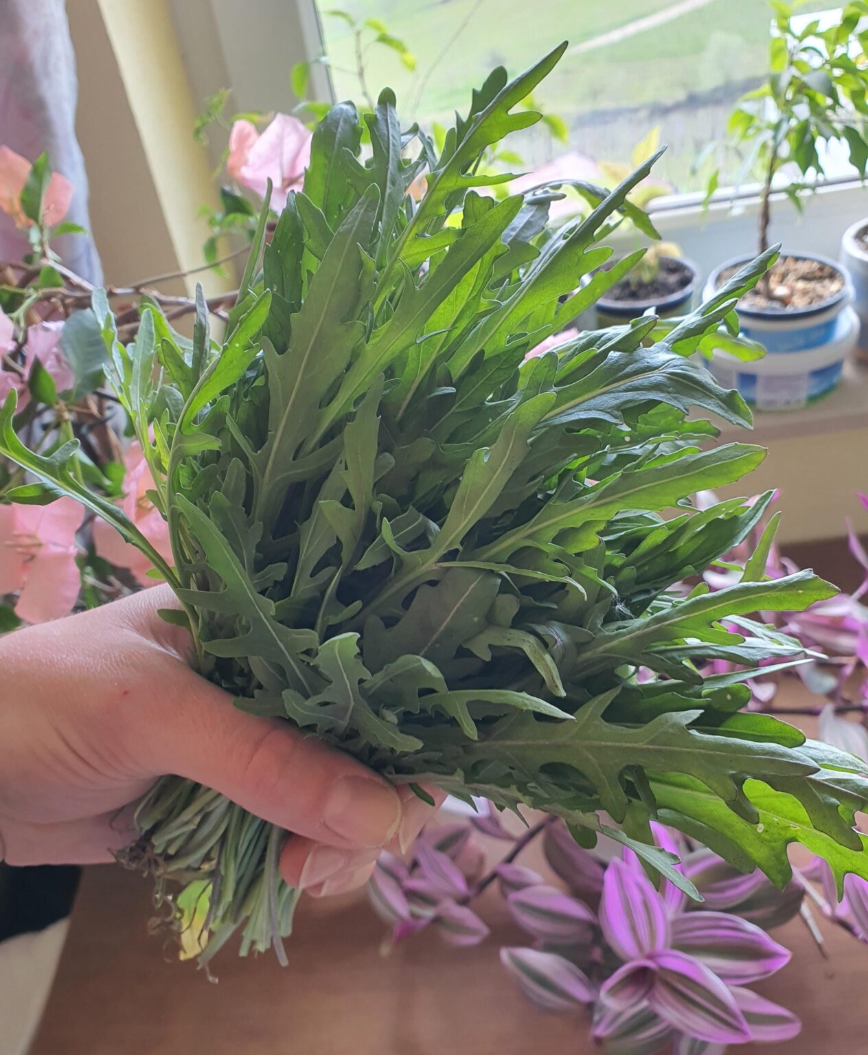 春の花束