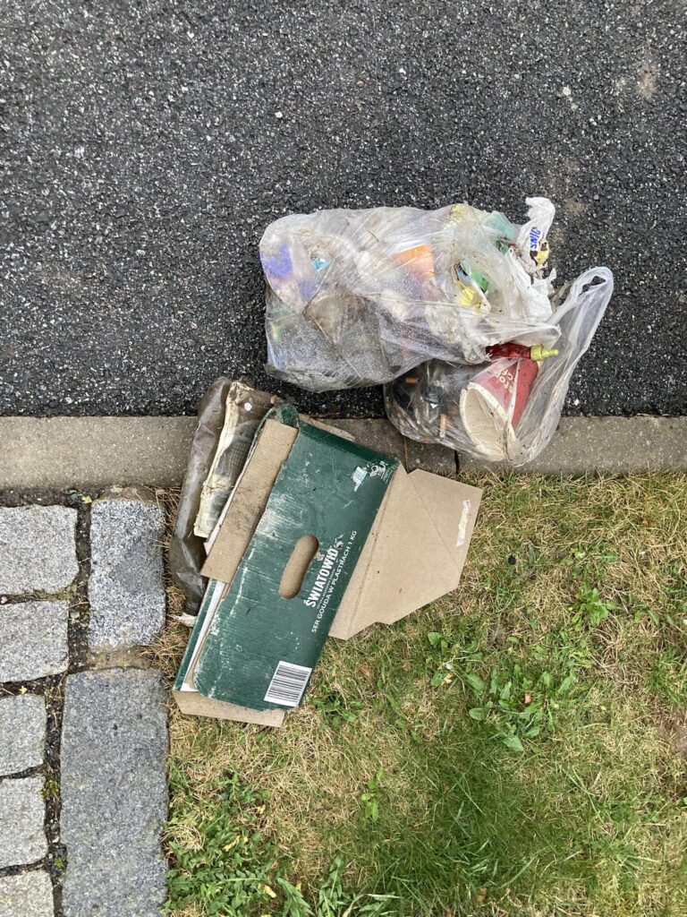 私のボルデル