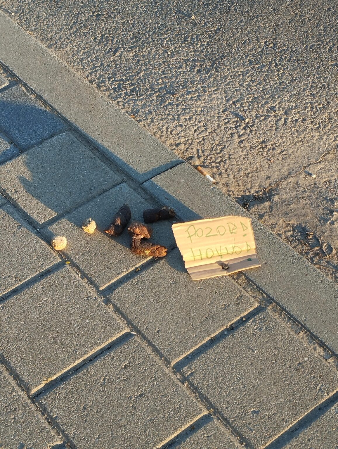 著者と犯罪者は不明です