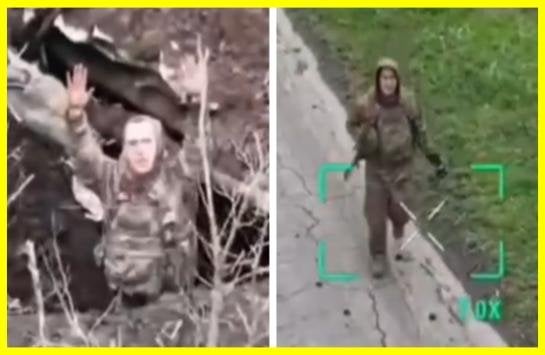 ロシアの占領者は、慈悲を生き残るために求めます。彼は手を上げ、ひざまずき、道を示すウクライナのドローンに降伏することにしました