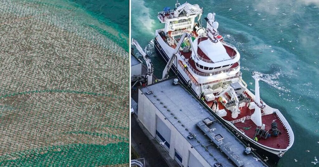 すぐにバルト海に魚が残っていません