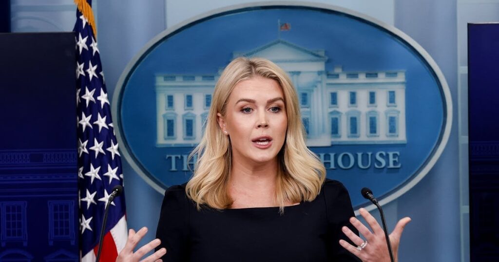 トランプが彼の力を虐待しているかどうか尋ねられたとき、カロライン・レビットはクラッシュします