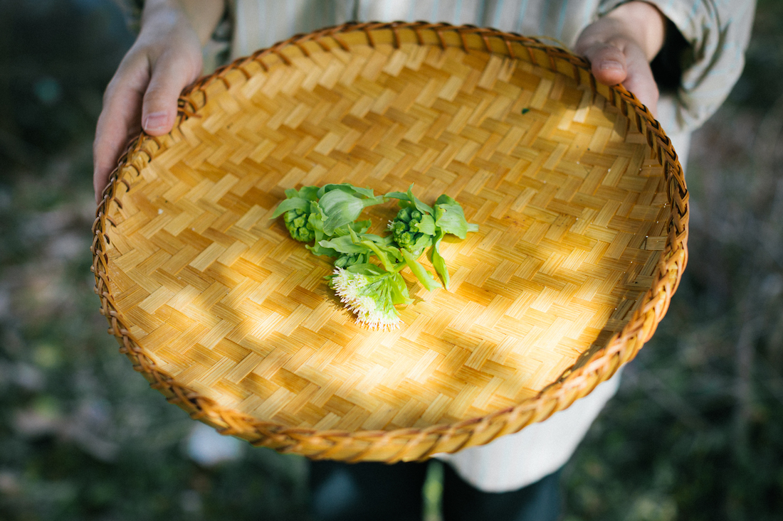 【移住者インタビュー】デザインの、もっと近くに。地域とつながる古民家暮らし／河野 愛さん