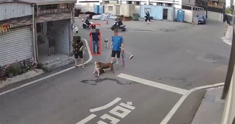ピットブルがペットの柴犬襲撃 2匹とも死ぬ／台湾
