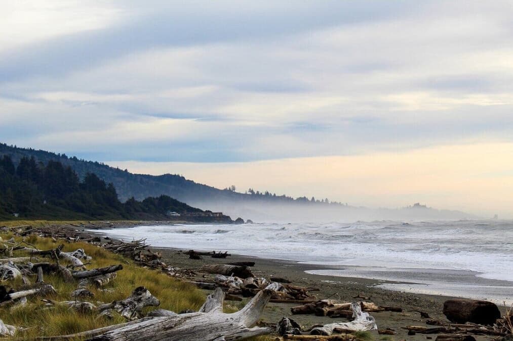 【写真】海辺に落ちていた「謎の黒い棒」、意外な「正体」が判明 「歯のように見えたが…」 – ニューズウィーク日本版 オフィシャルサイト 【写真】海辺に落ちていた「謎の黒い棒」、意外な「正体」が判明 「歯のように見えたが...」 - ニューズウィーク日本版 オフィシャルサイト