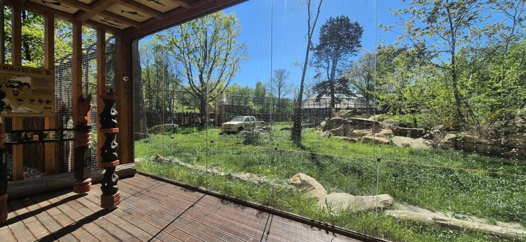 Wroclaw動物園にトヨタの囲いがあるとは思っていませんでした