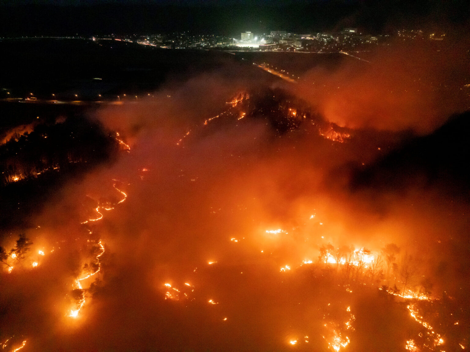 Recent wildfires in Japan, S Korea linked  to climate change, say European researchers