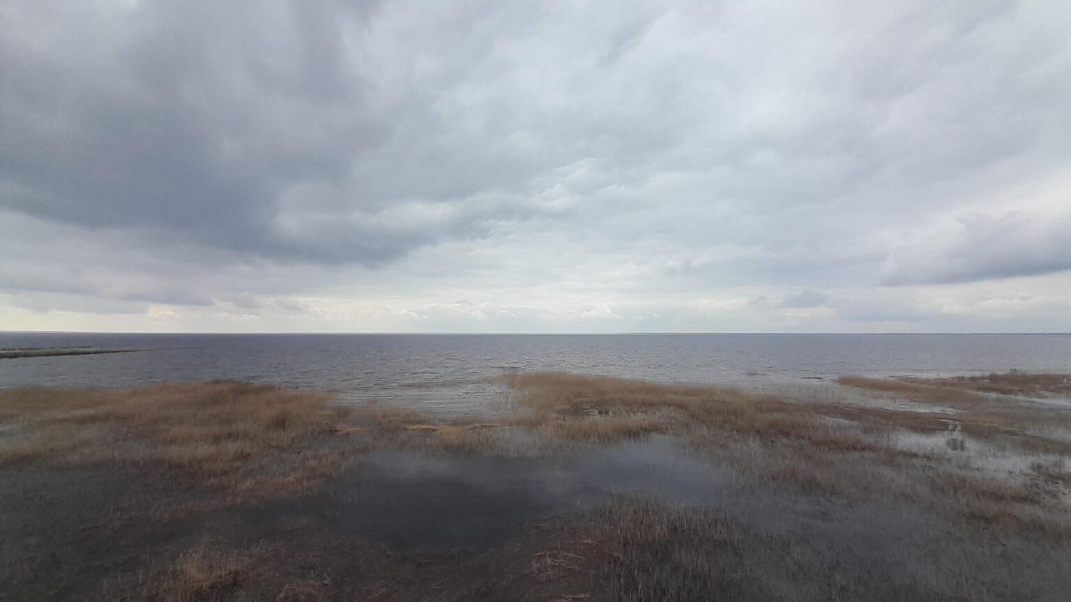 võrtsjärvはまだ泳ぐことを招待していません。