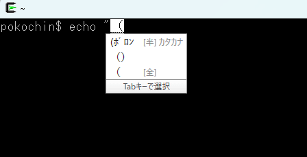 【クソスレ】俺「括弧を入力するか…」パソコン「あっ、『(ﾎﾞﾛﾝ』ッスね！！」